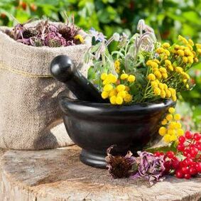 Herbal treatment for papillomas